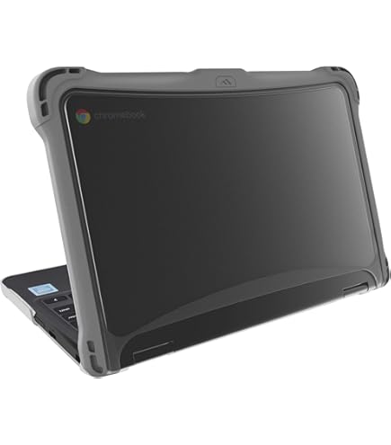 71LTOs5Y++L._AC_UL495_SR435,